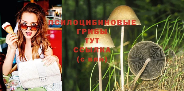 мет Краснослободск