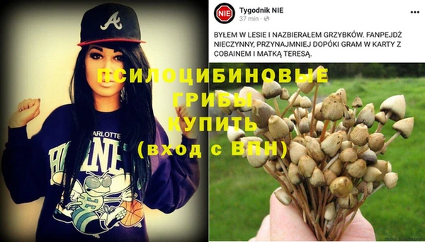 мет Краснослободск